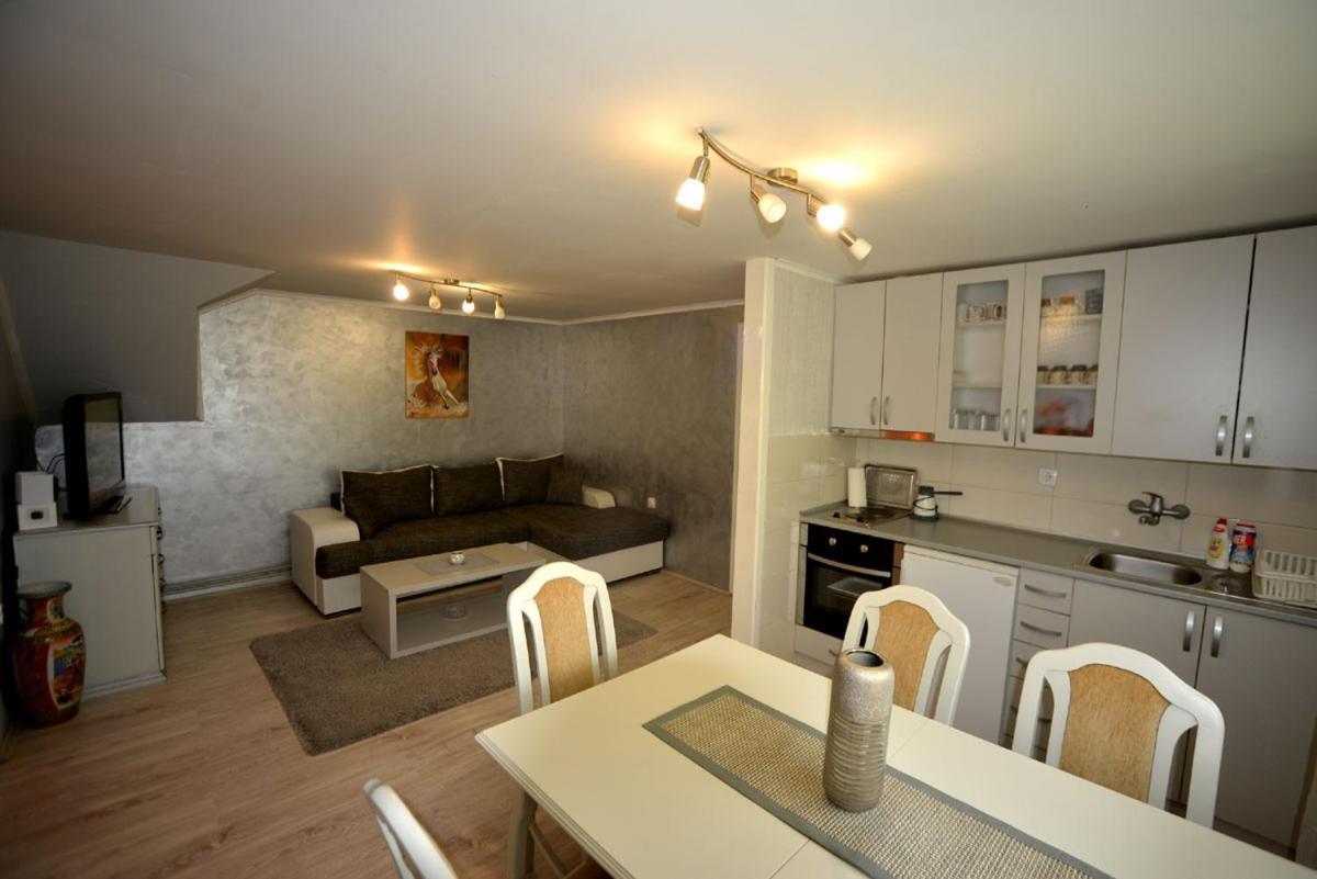 Apartment Vihor ズラティボール エクステリア 写真