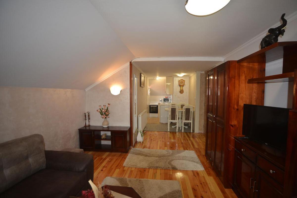 Apartment Vihor ズラティボール エクステリア 写真