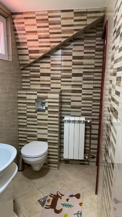 Apartment Vihor ズラティボール エクステリア 写真
