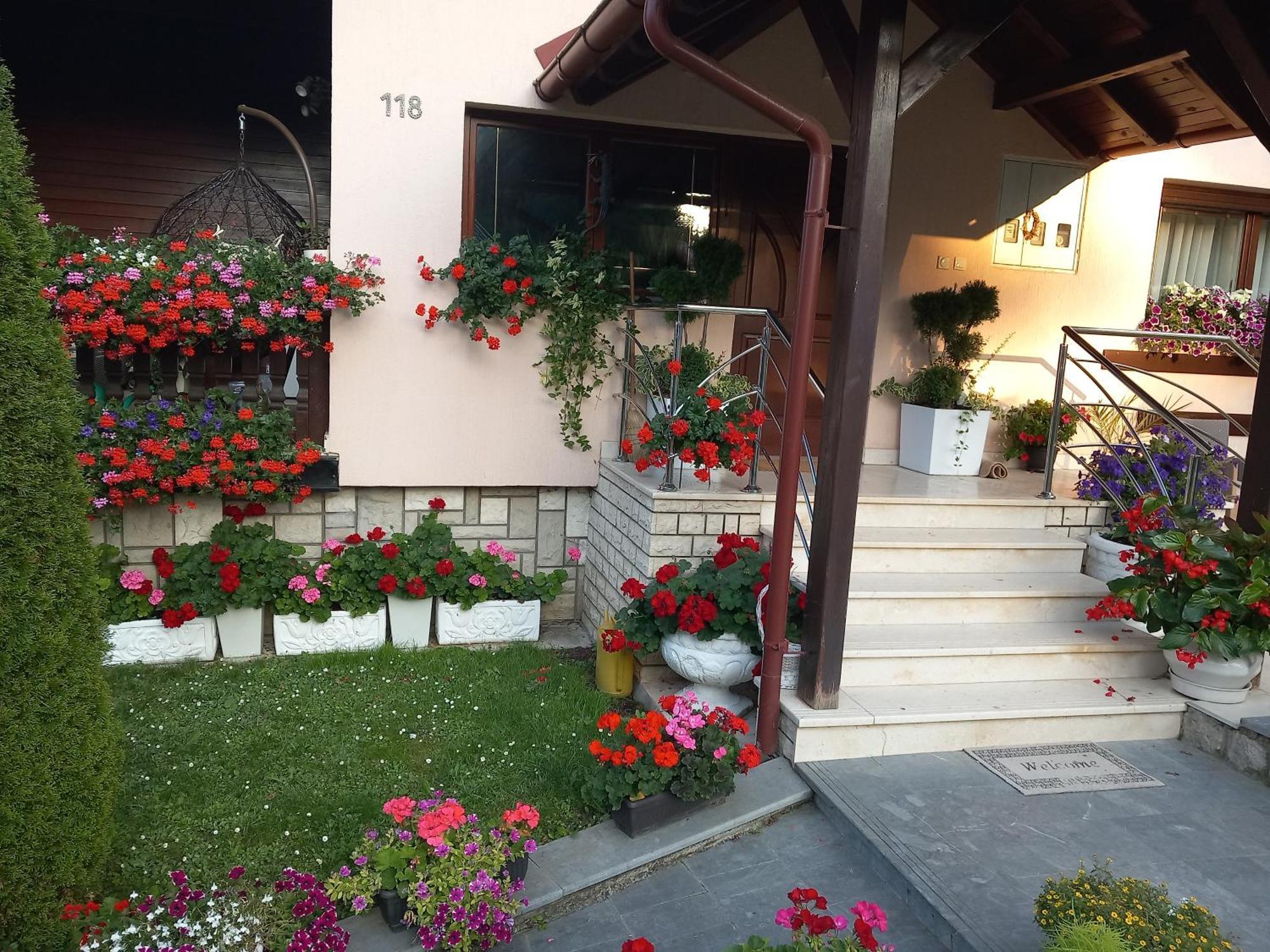 Apartment Vihor ズラティボール エクステリア 写真
